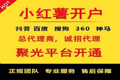 SEO与SEM服务结合的实战案例
